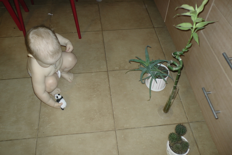 ТД "Медвежата"