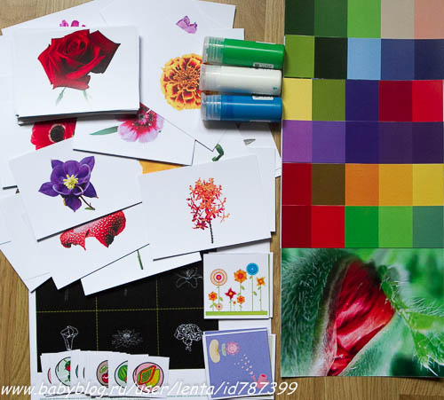 Занятие "Цветное безобразие" Шичида для малышей