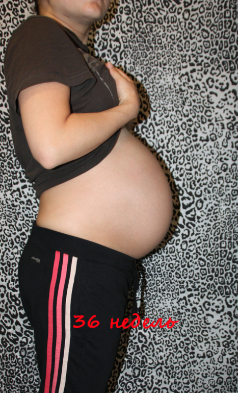 36 недельный отчёт и фотки