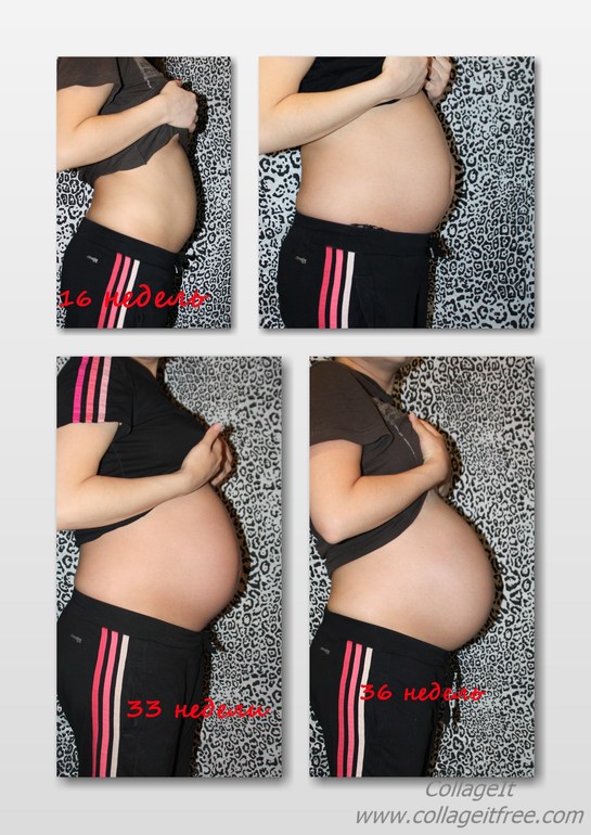 36 недельный отчёт и фотки