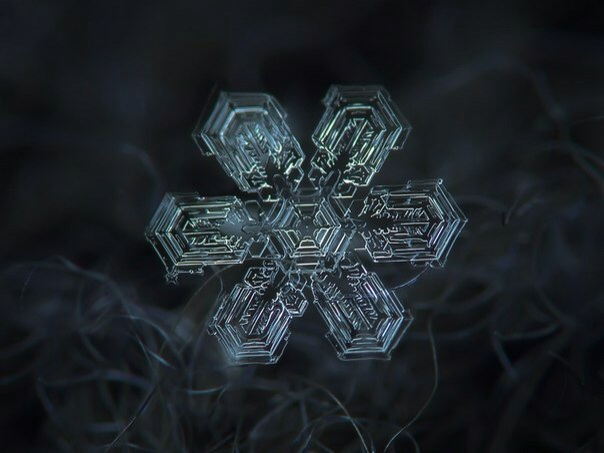 А вы видели снежинки под микроскопом?