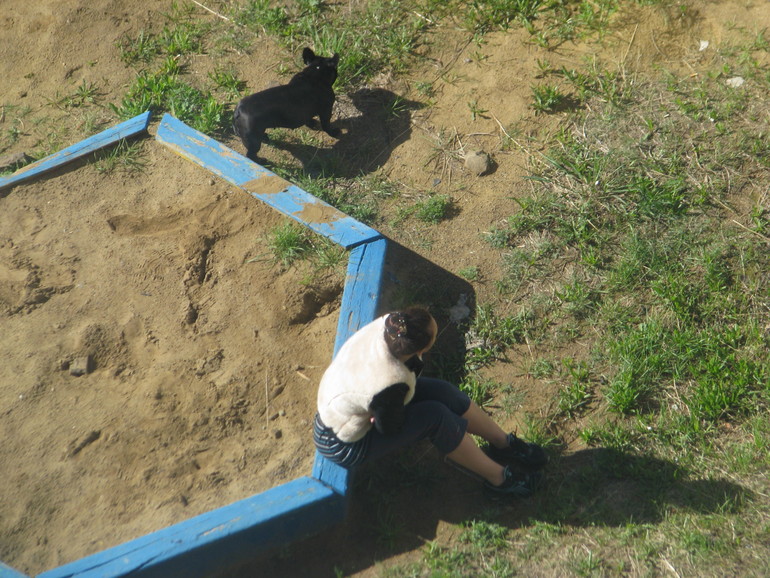 что делать с фотами?