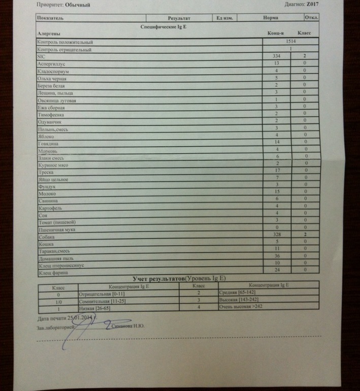 Наши анализы