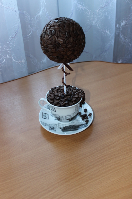 Кофейное дерево для мужа