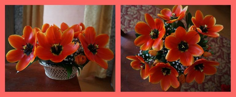 Муж порадовал!