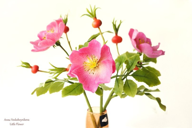 Шиповник из полимерной глины