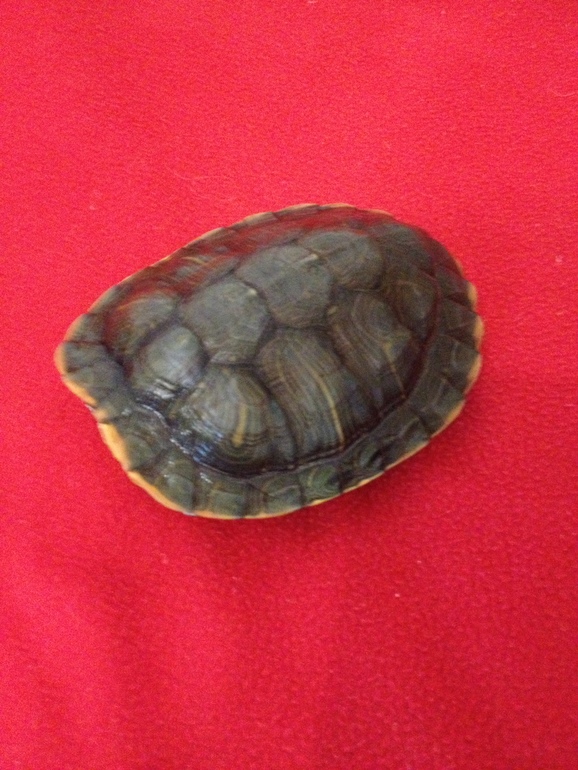 Отчет по ТЗ "По дороге с облаками"