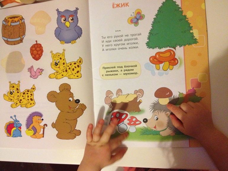 ТЗ "Живые грибы" по В. Сутееву