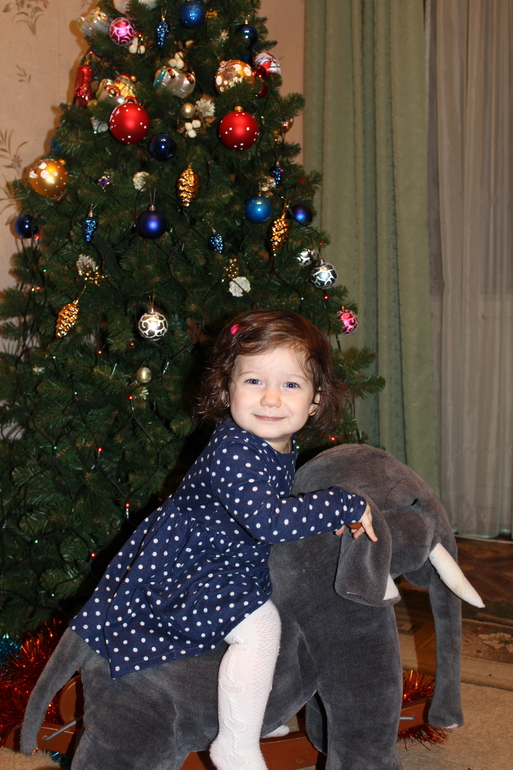 Новый год 2014!