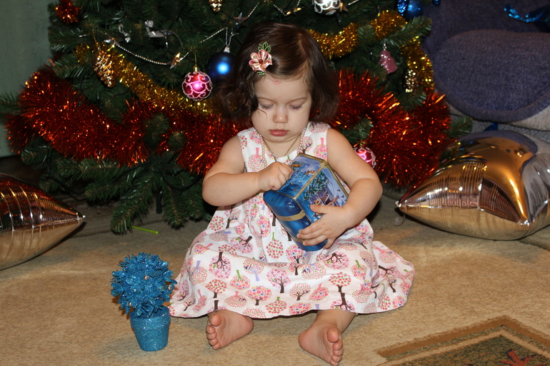 Новый год 2014!