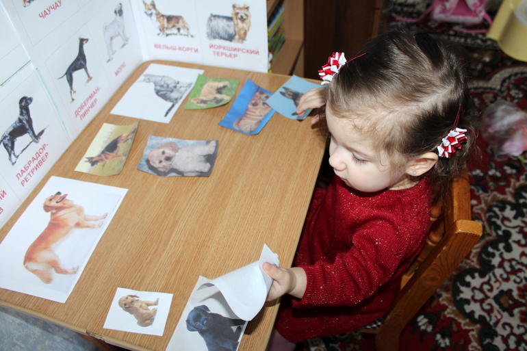 Отчет по мини-ТН