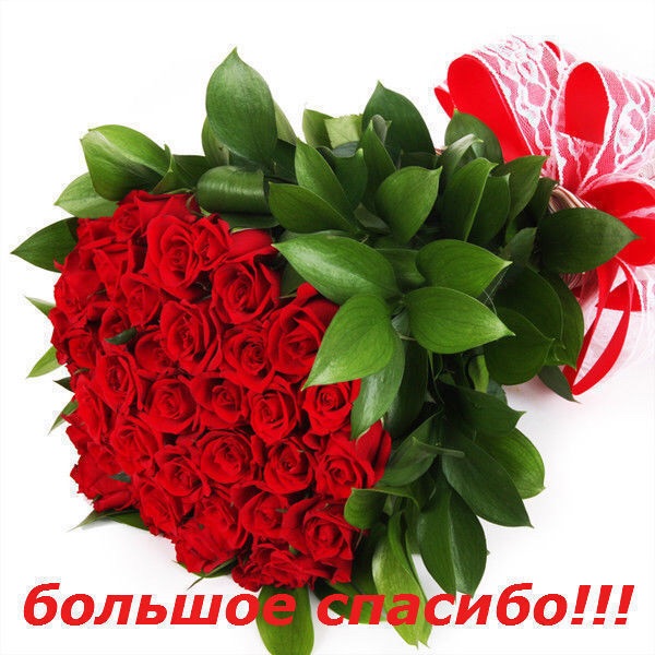 Подарки для елены картинки Подарки для елены картинки