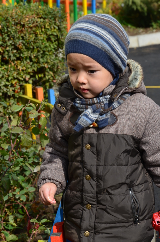 Золотая осень)))