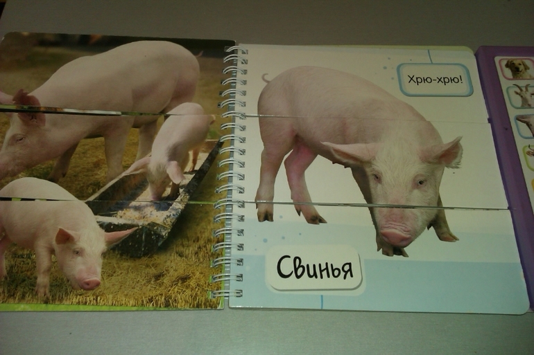 Читаем в 1-1,5г.