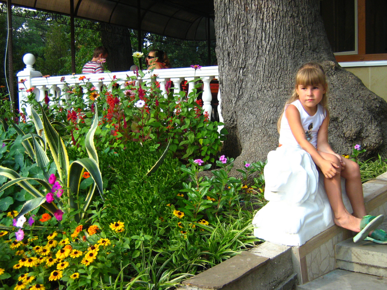 Ливадия. Ласточкино гнездо.