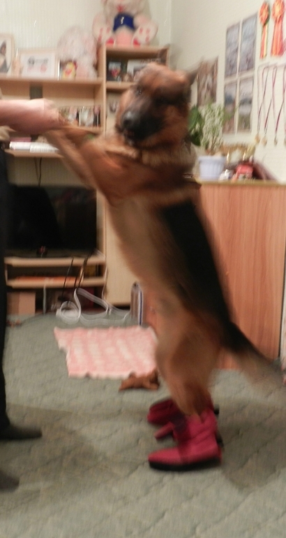 наши примерки))