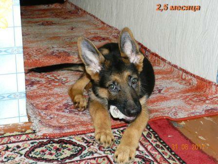 мой сладкий мальчик!!мой сынок))