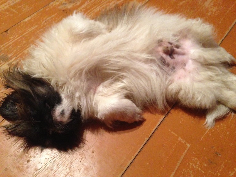 Мальчик...и еще...мальчик...)))