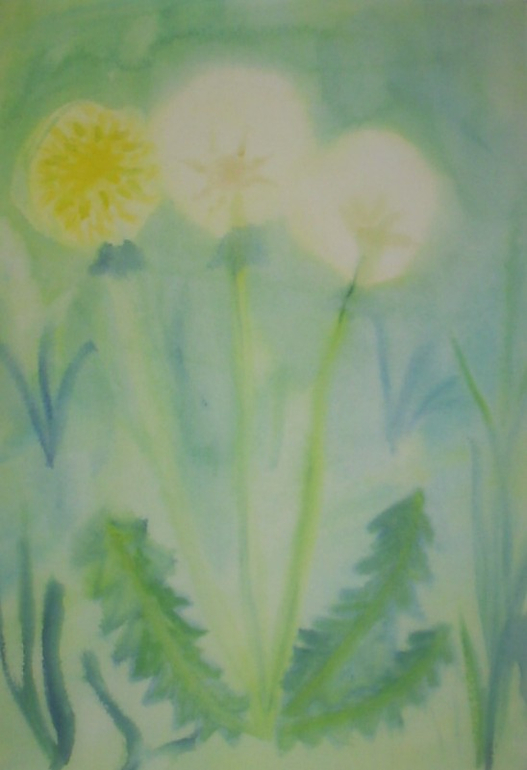 Поедемте с нами на природу в последние выходные мая