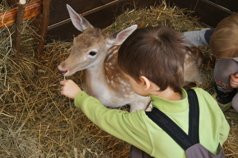 Масленица и мартовские праздники.