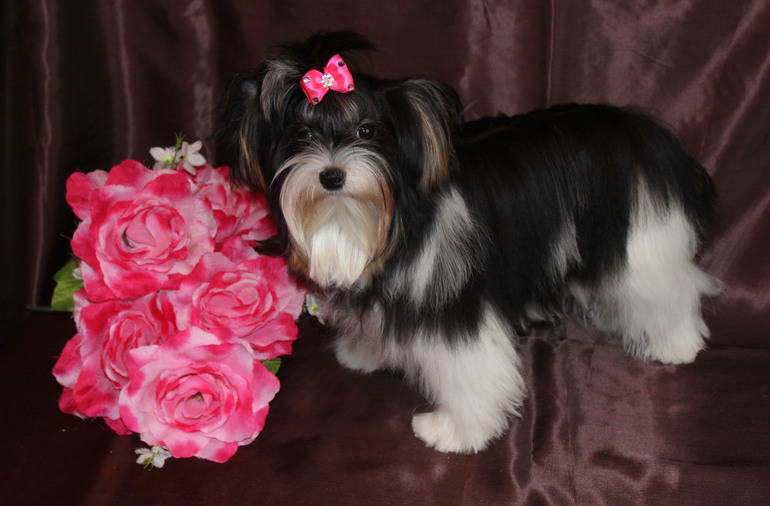 Моя девочка 8 мес