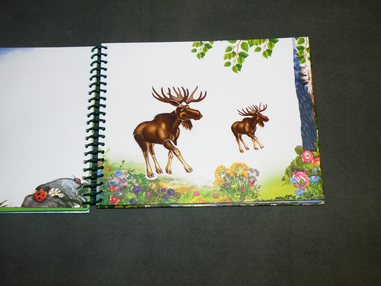 Наша стопочка книг