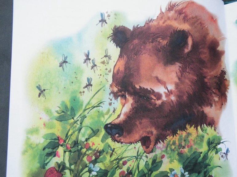 Первое пополнение лета