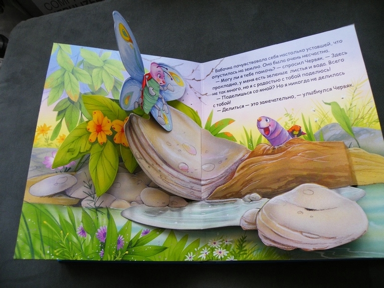 Первое пополнение лета