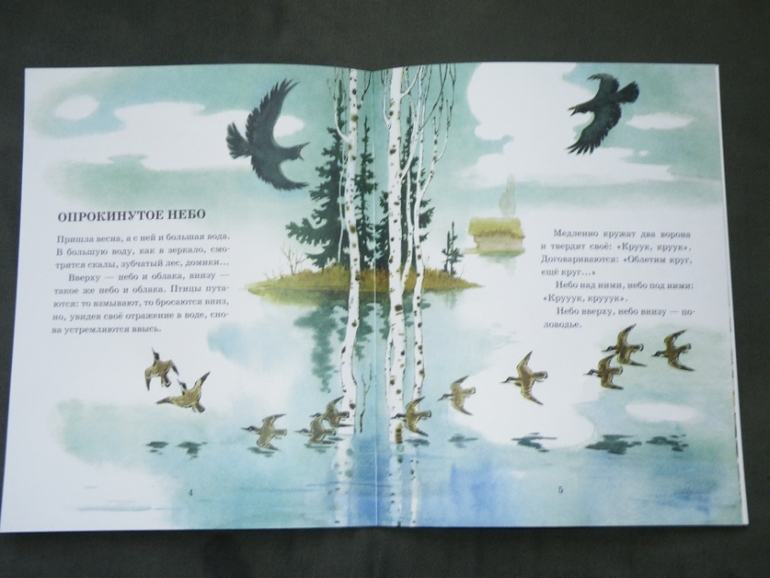 Новые книги - фото отчет