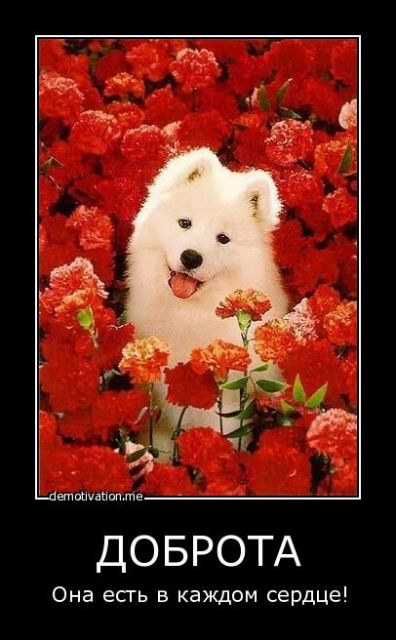 Благодарю за помощь!!!