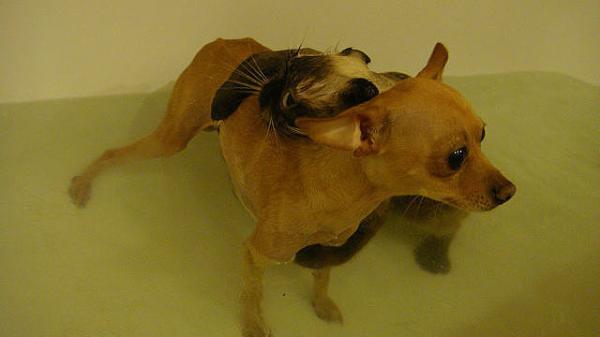 Улыбайся, улыбайся...)))