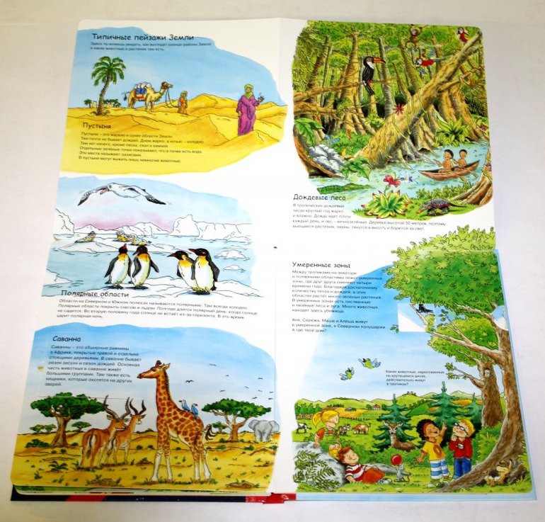 наше пополнение 2014