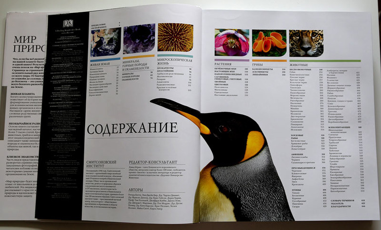 Идеальная энциклопедия и другие звери.