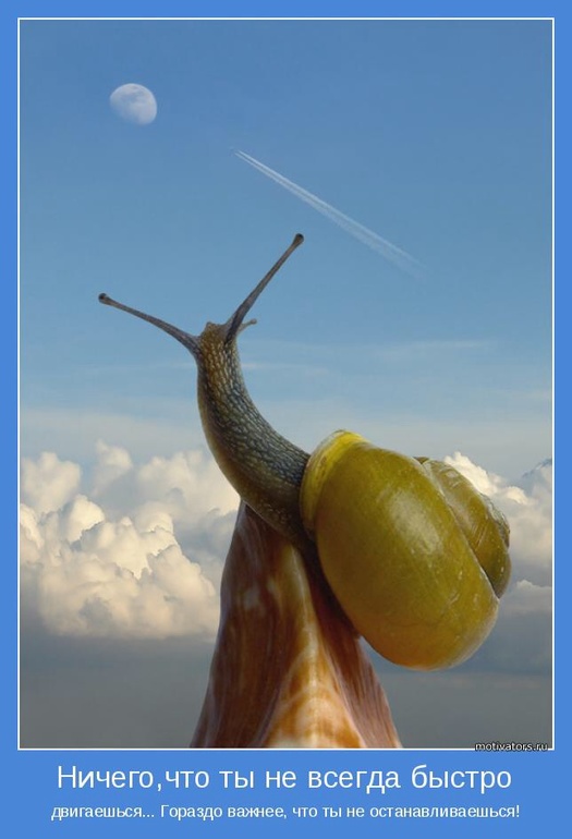 73 день 15-16, 17-18