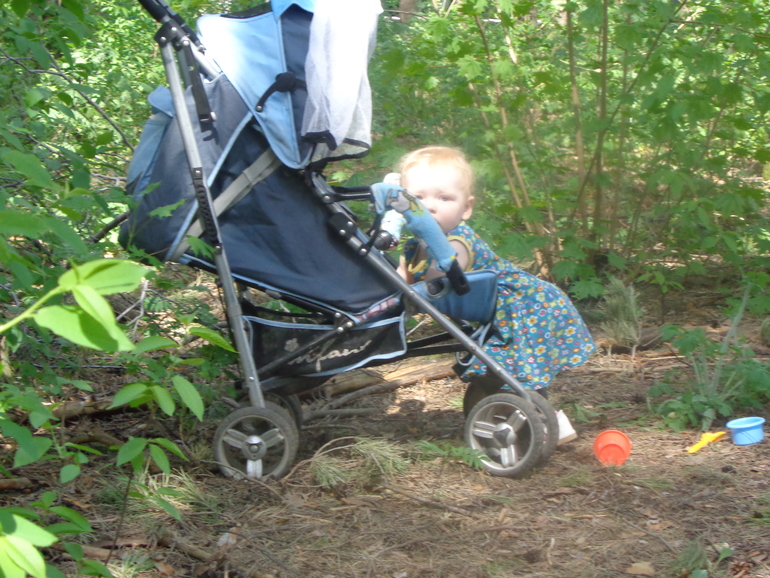 Гуляли в лесу