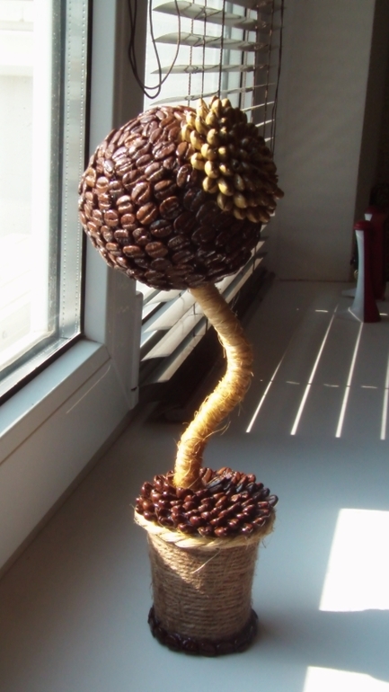 Мои кофейные деревья