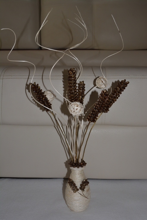 Мои кофейные деревья