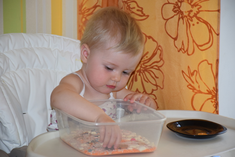 ТД Муха-цокотуха