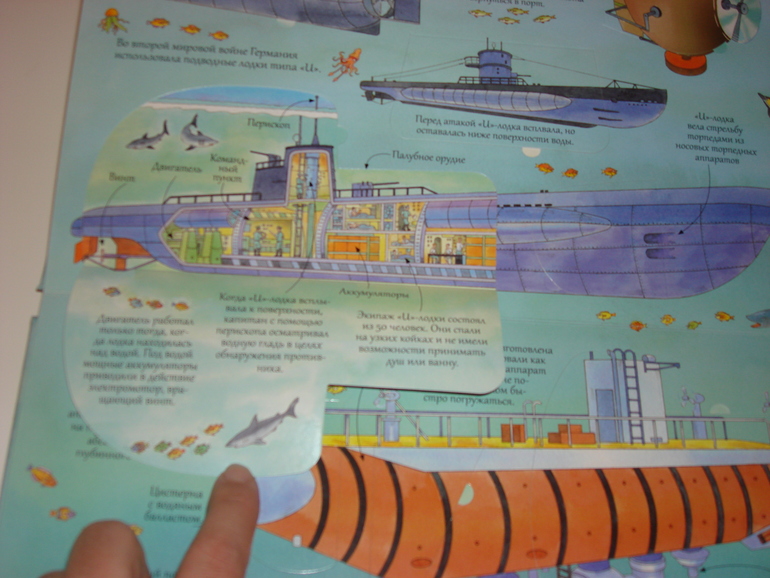 Робинс окошки