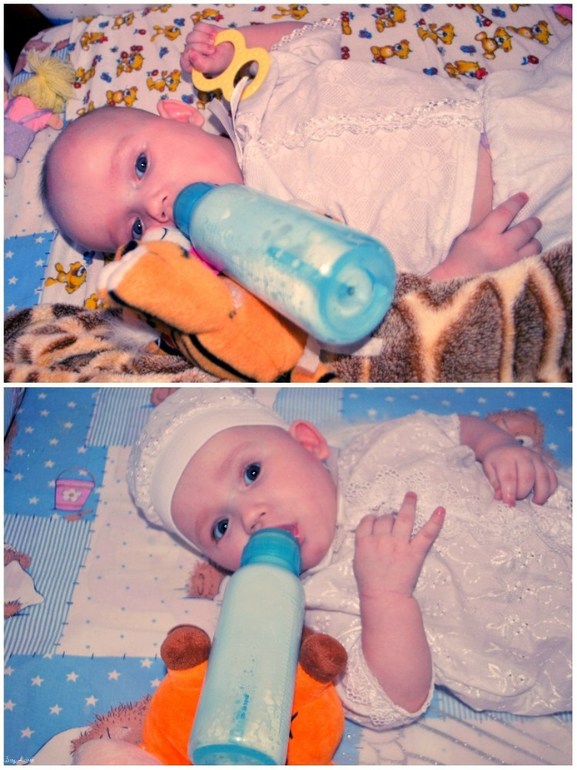 Фотосессия. 7 месяцев