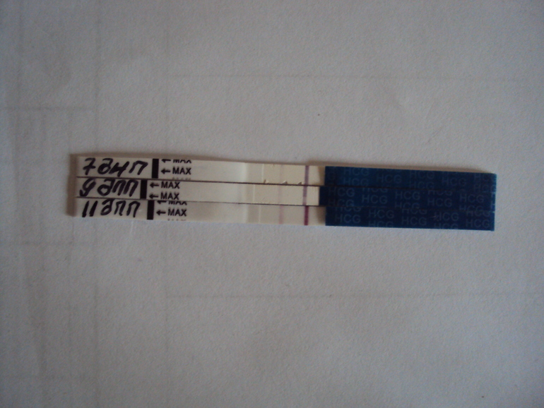 И снава мы!!!