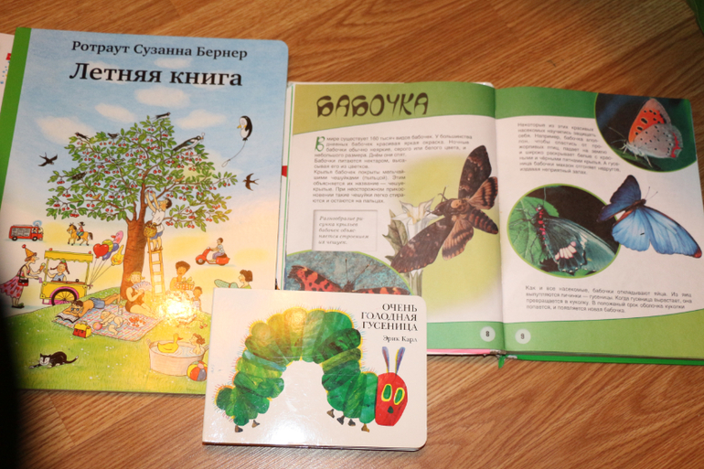Отчет Бабочки-Красавицы