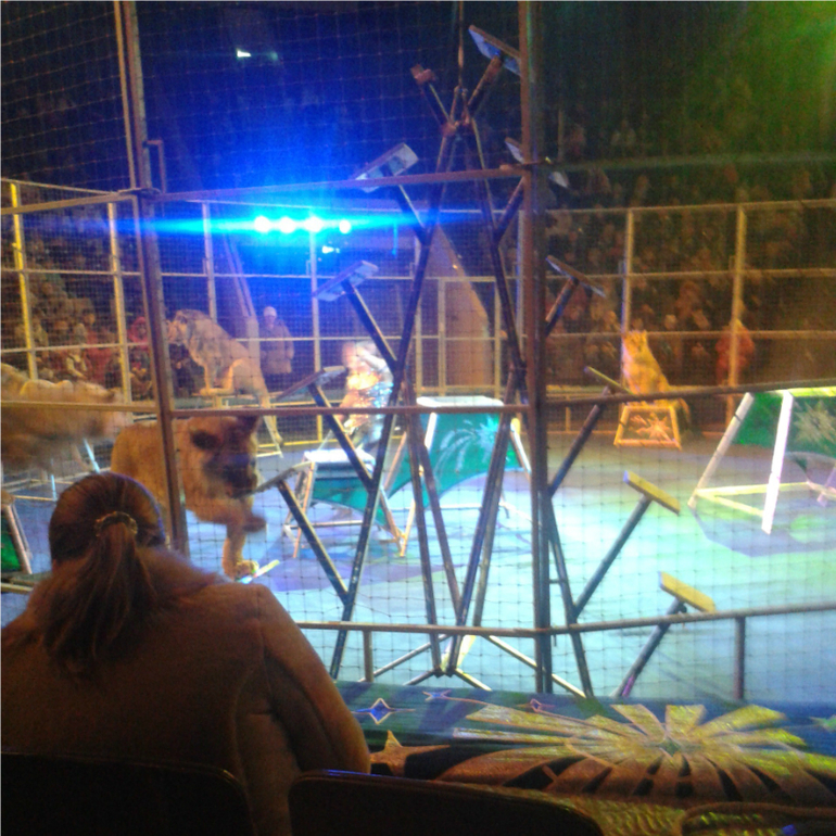 А еще сегодня