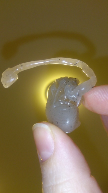 запоздалый пост про гадания))))