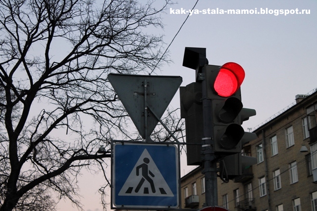 Как объяснить ребенку, что дорогу нужно переходить на зеленый свет