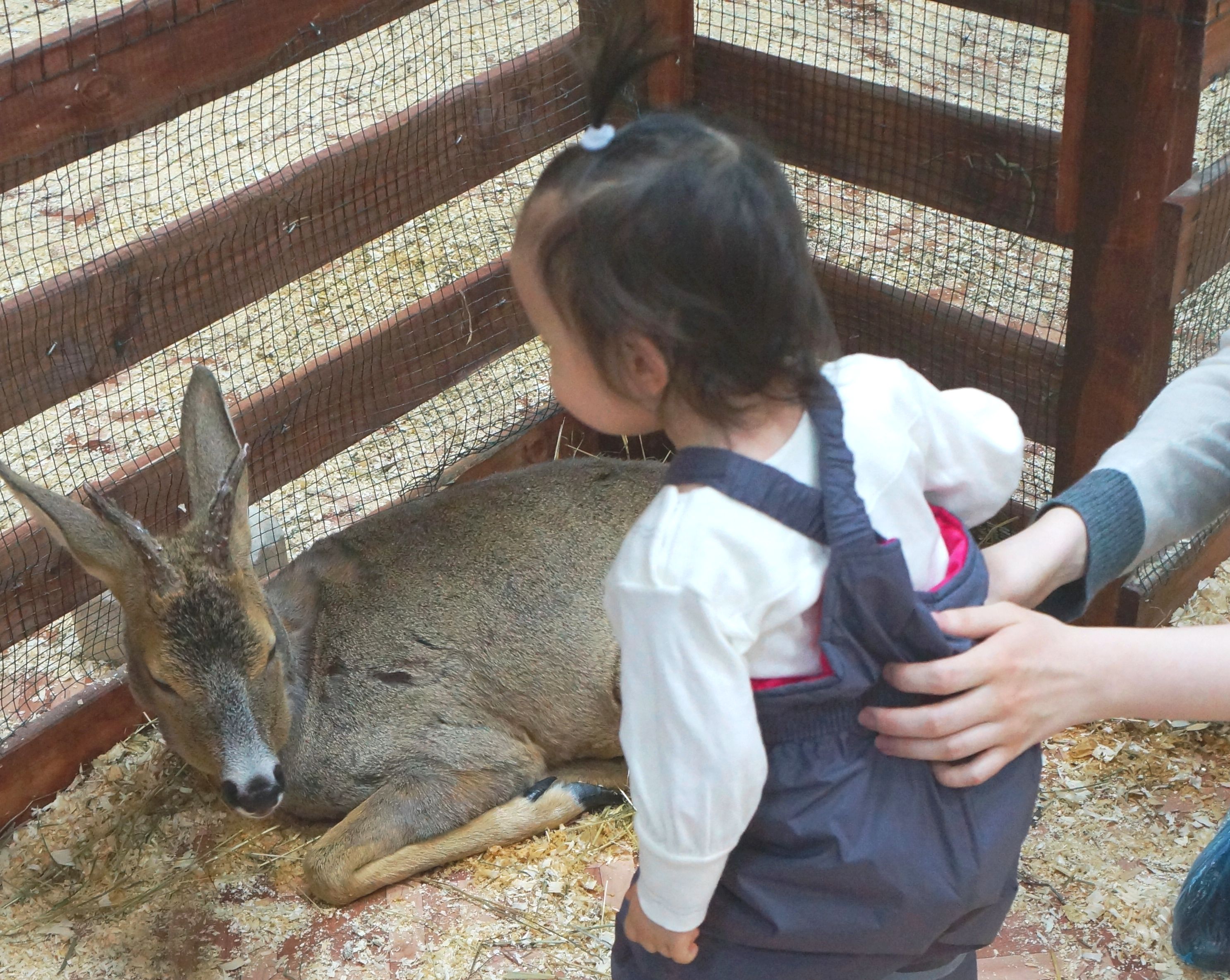 Посетили мы контактный зоопарк на Тушинской