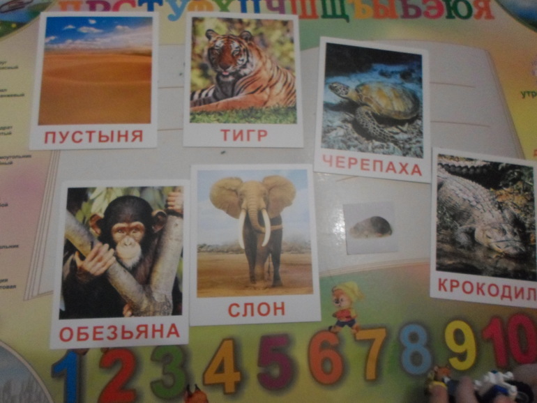 ТЗ "По дороге с облаками"