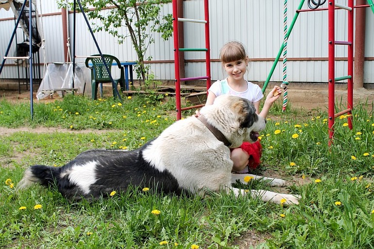 Доча и алабайчик))