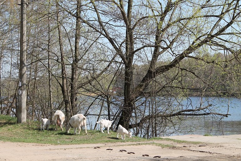 Весна, река и мы такие отдыхаем))) 25.04.14