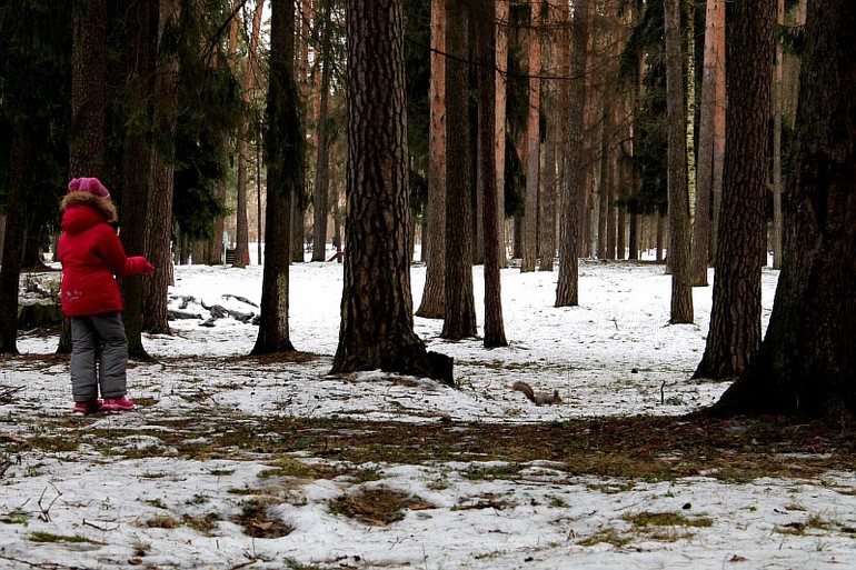 А мы сегодня 1 января кормили белок))))